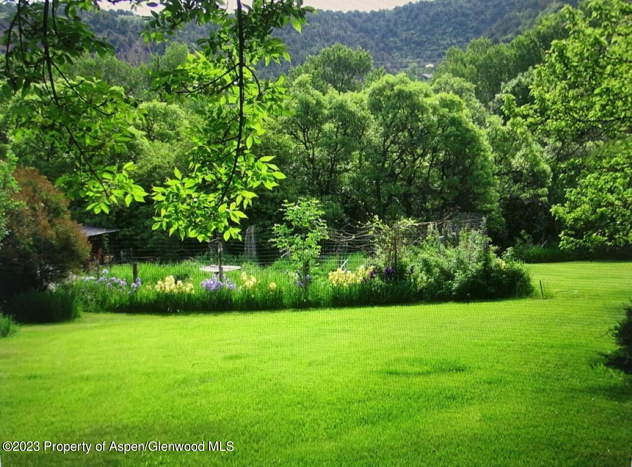 60 Chelyn Road Glenwood Springs, CO 81601 - Photo 3 of 53 a view of a garden