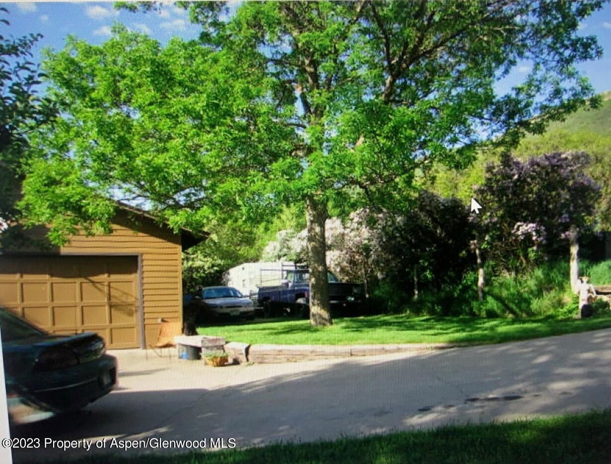 60 Chelyn Road Glenwood Springs, CO 81601 - Photo 5 of 53 a view of a yard with plants and large tree