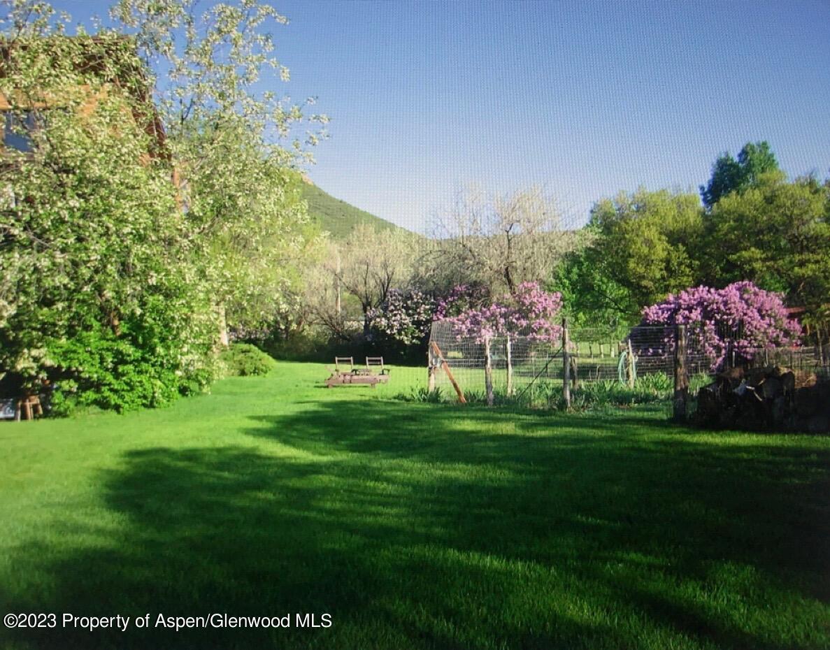 60 Chelyn Road Glenwood Springs, CO 81601 - Photo 6 of 53 a view of a grassy field with trees