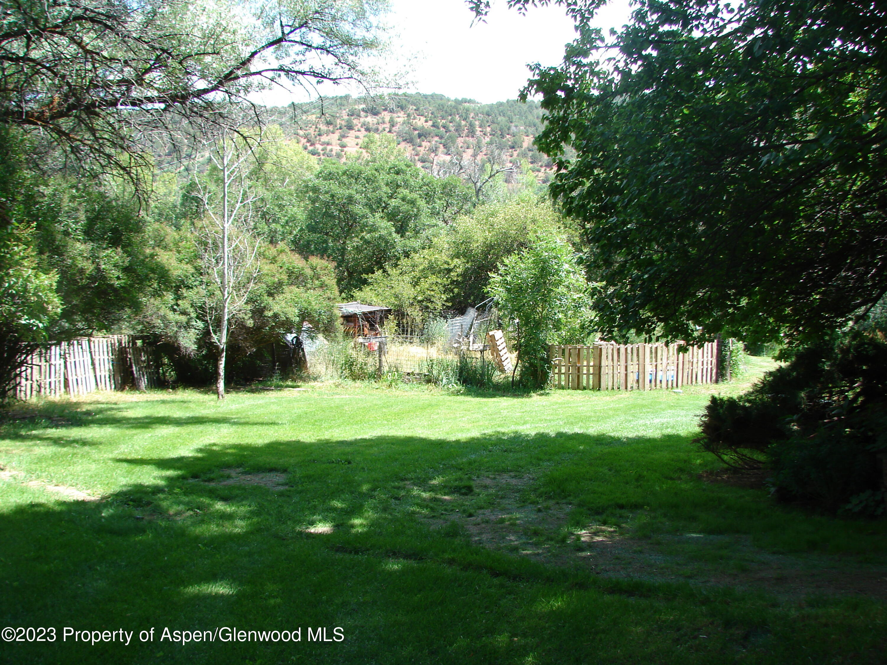 60 Chelyn Road Glenwood Springs, CO 81601 - Photo 8 of 53 a view of a trees in a yard