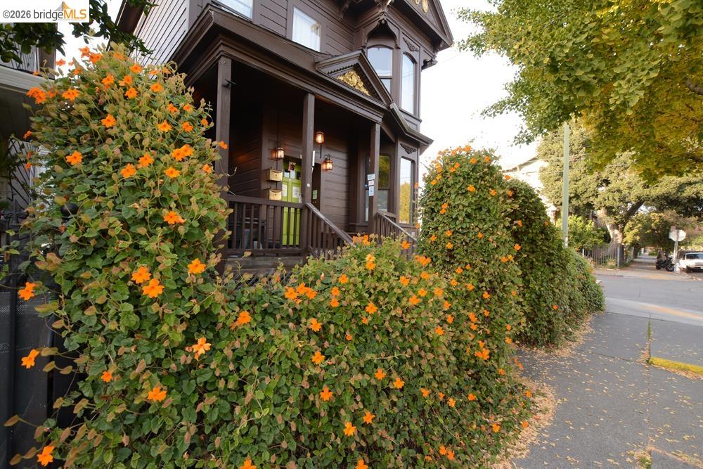 0 8th Street Oakland, CA 94607 - Photo 51 of 56 front view of a house with a tree