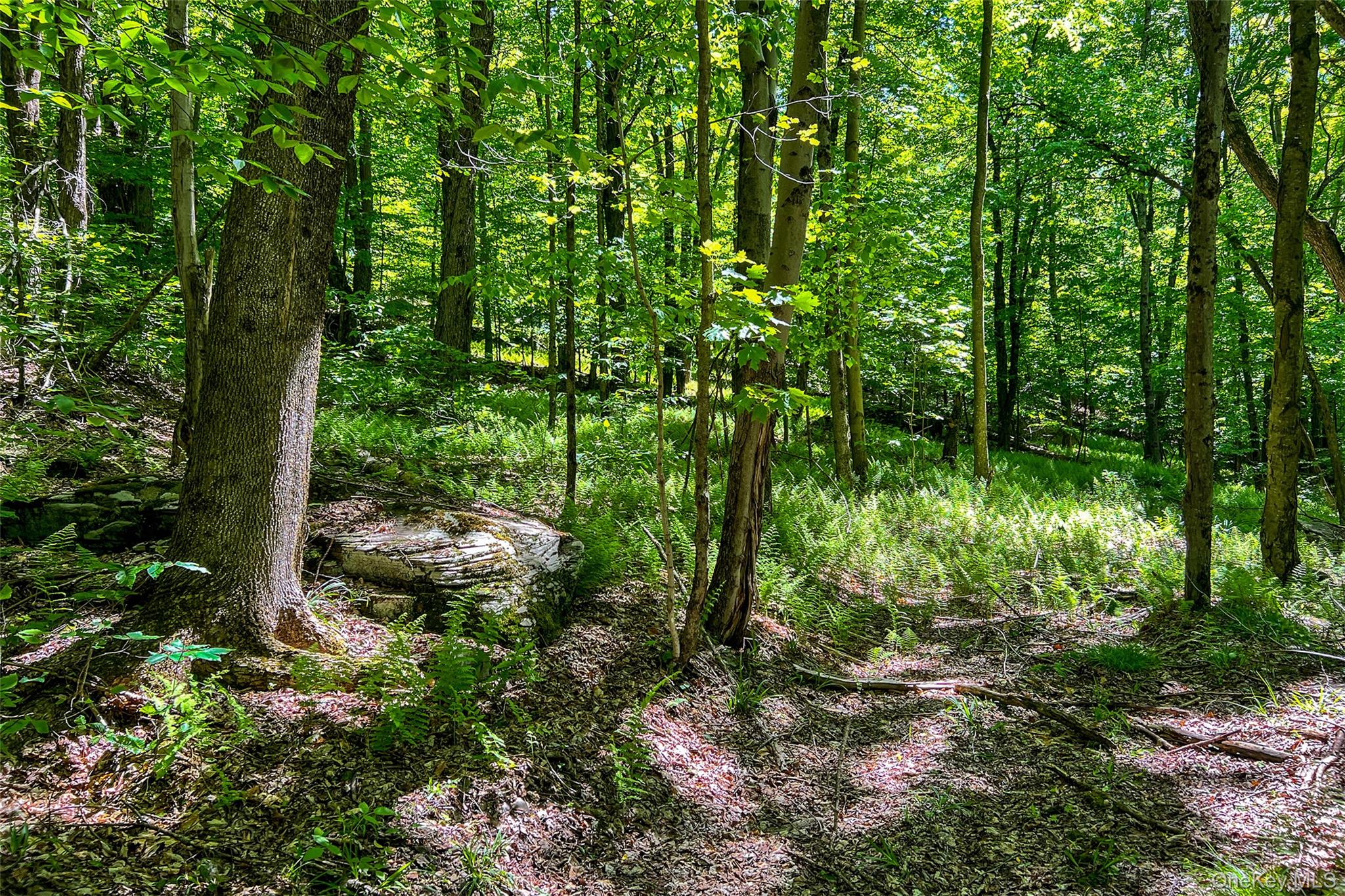 26 Federal Hill 2 Road Delhi, NY 13753 - Photo 21 of 50