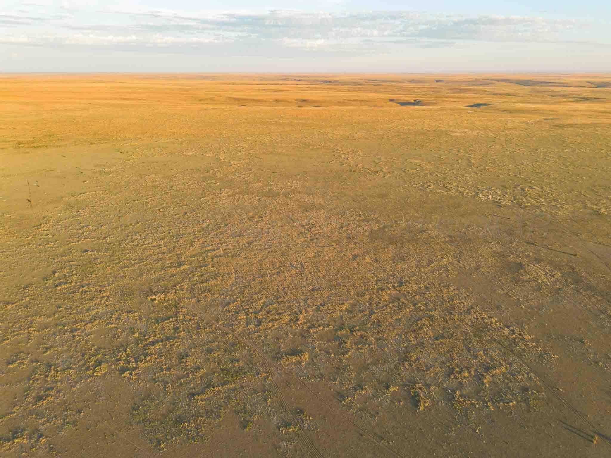 3-433.84 3-433.84 Acres Other - Not In List, NM 88430 - Photo 12 of 61 Wise_Ranch_NM-10