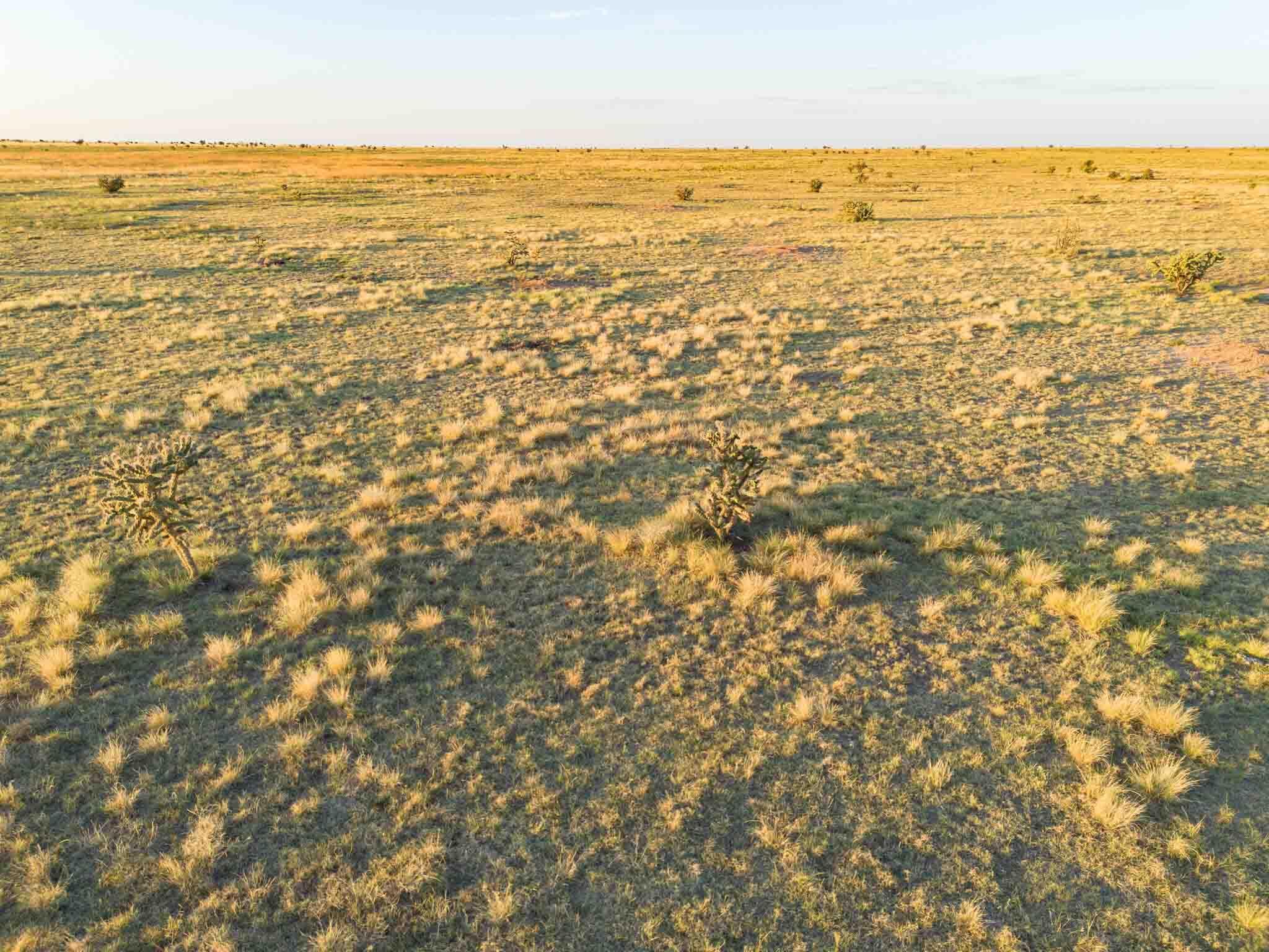 3-433.84 3-433.84 Acres Other - Not In List, NM 88430 - Photo 14 of 61 Wise_Ranch_NM-12