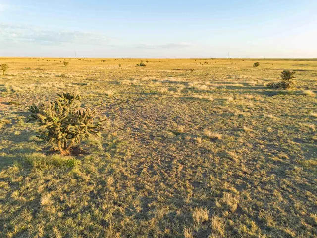 $4,200,000 | 3-433.84 3-433.84 Acres, Other - Not In List, NM 88430