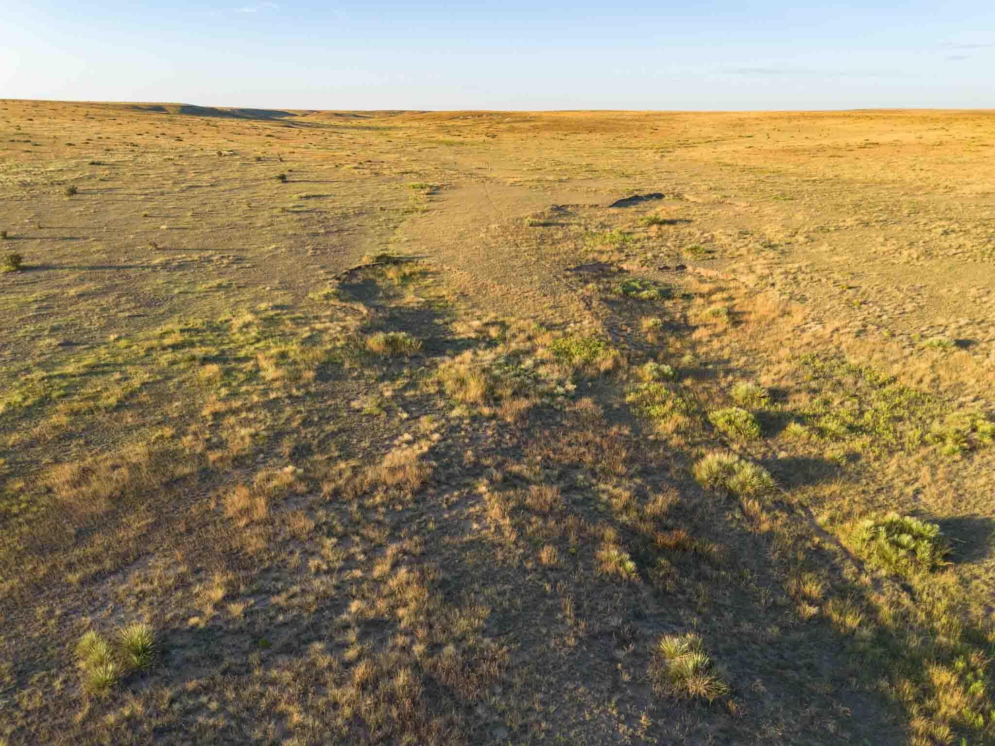 3-433.84 3-433.84 Acres Other - Not In List, NM 88430 - Photo 18 of 61 Wise_Ranch_NM-16