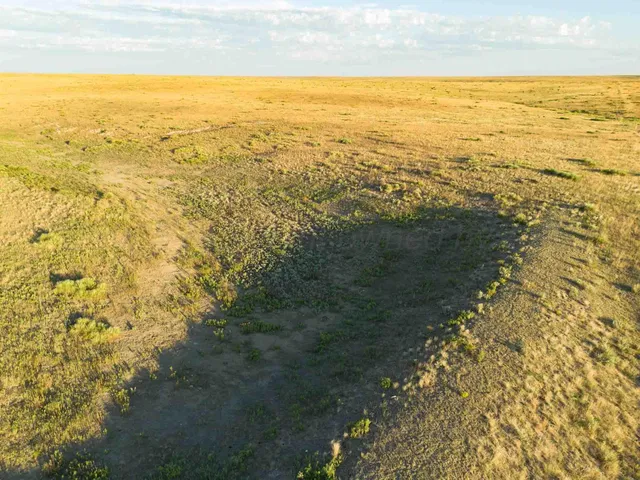 $4,200,000 | 3-433.84 3-433.84 Acres, Other - Not In List, NM 88430