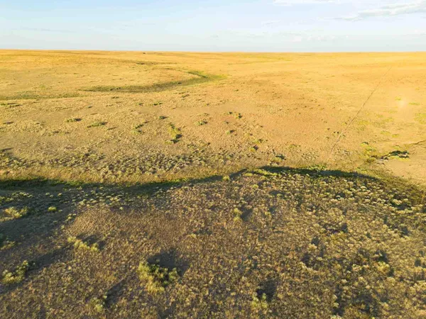 $3,622,000 | 3-273.84 Acres, Nara Visa, NM 88430