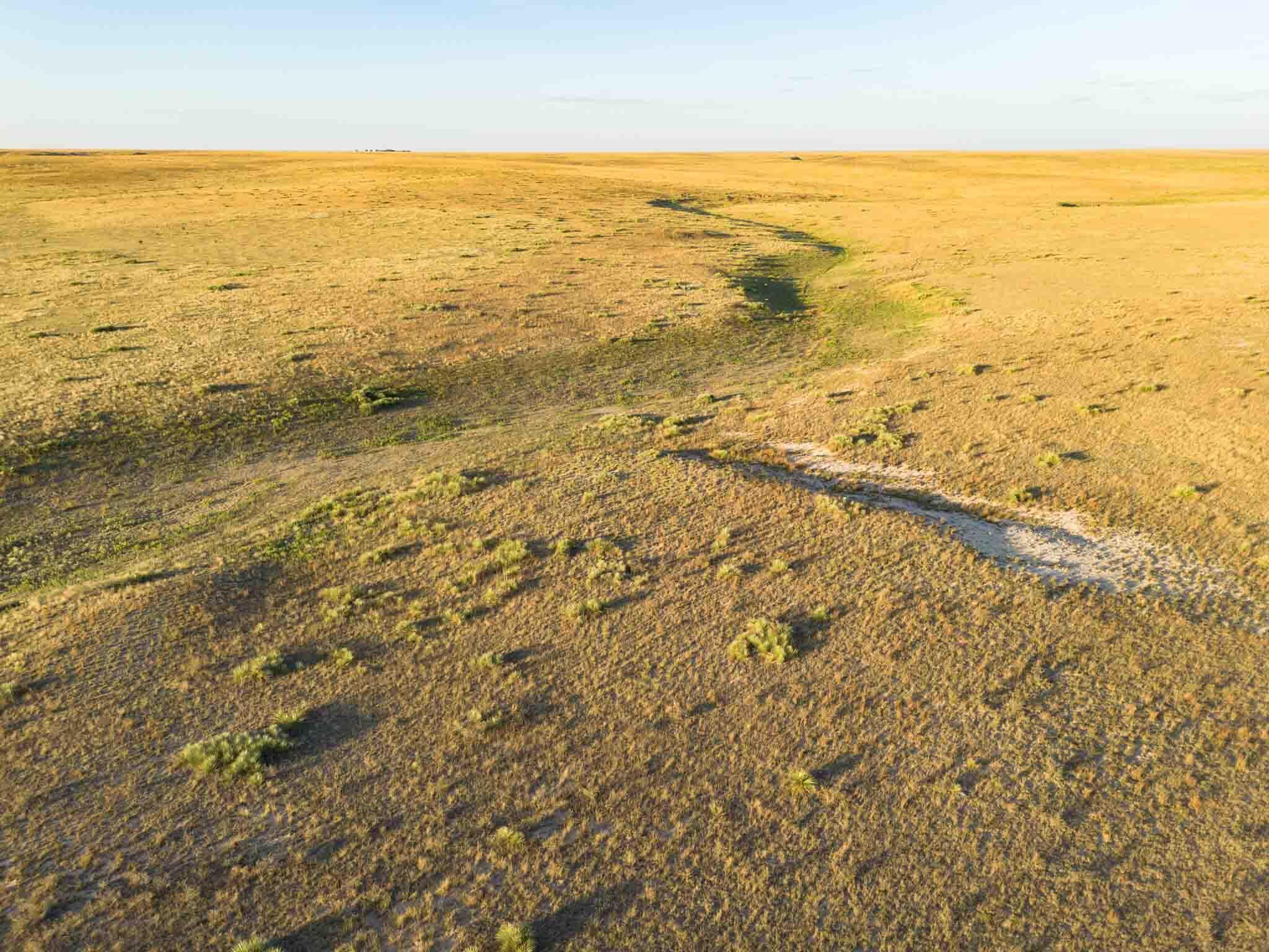 3-433.84 3-433.84 Acres Other - Not In List, NM 88430 - Photo 21 of 61 Wise_Ranch_NM-19