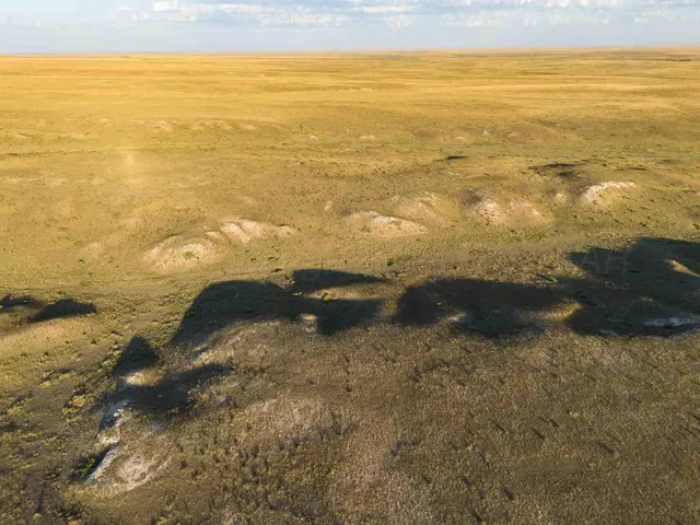 $4,200,000 | 3-433.84 3-433.84 Acres, Other - Not In List, NM 88430