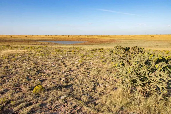$3,622,000 | 3-273.84 Acres, Nara Visa, NM 88430