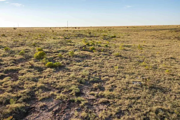 $3,622,000 | 3-273.84 Acres, Nara Visa, NM 88430