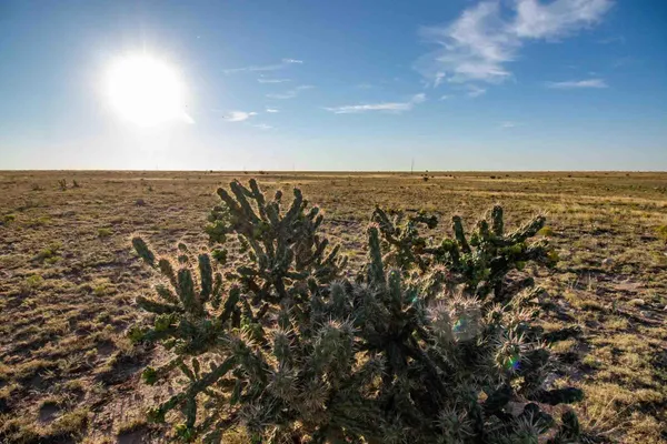 $3,622,000 | 3-273.84 Acres, Nara Visa, NM 88430