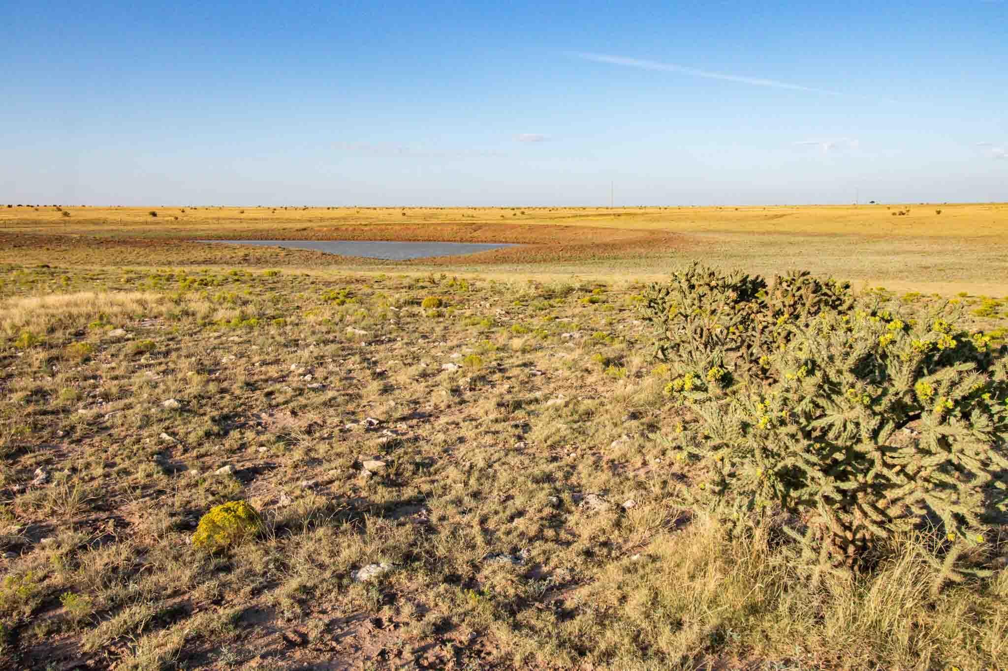 3-433.84 3-433.84 Acres Other - Not In List, NM 88430 - Photo 32 of 61 Wise_Ranch_NM-33
