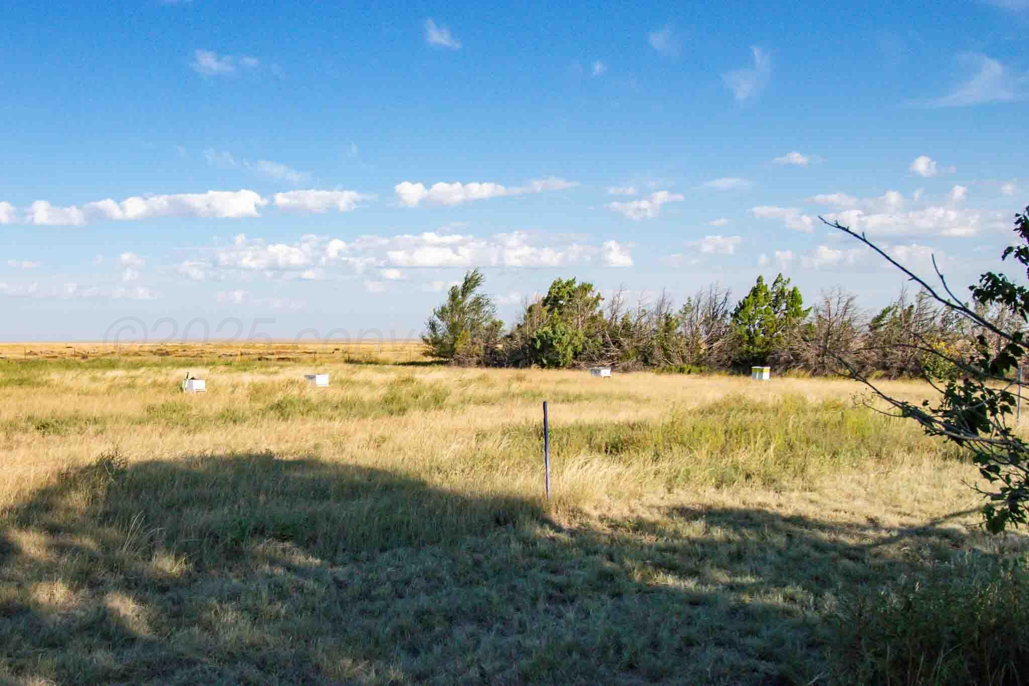 3-433.84 3-433.84 Acres Other - Not In List, NM 88430 - Photo 53 of 61 Wise_Ranch_NM-62