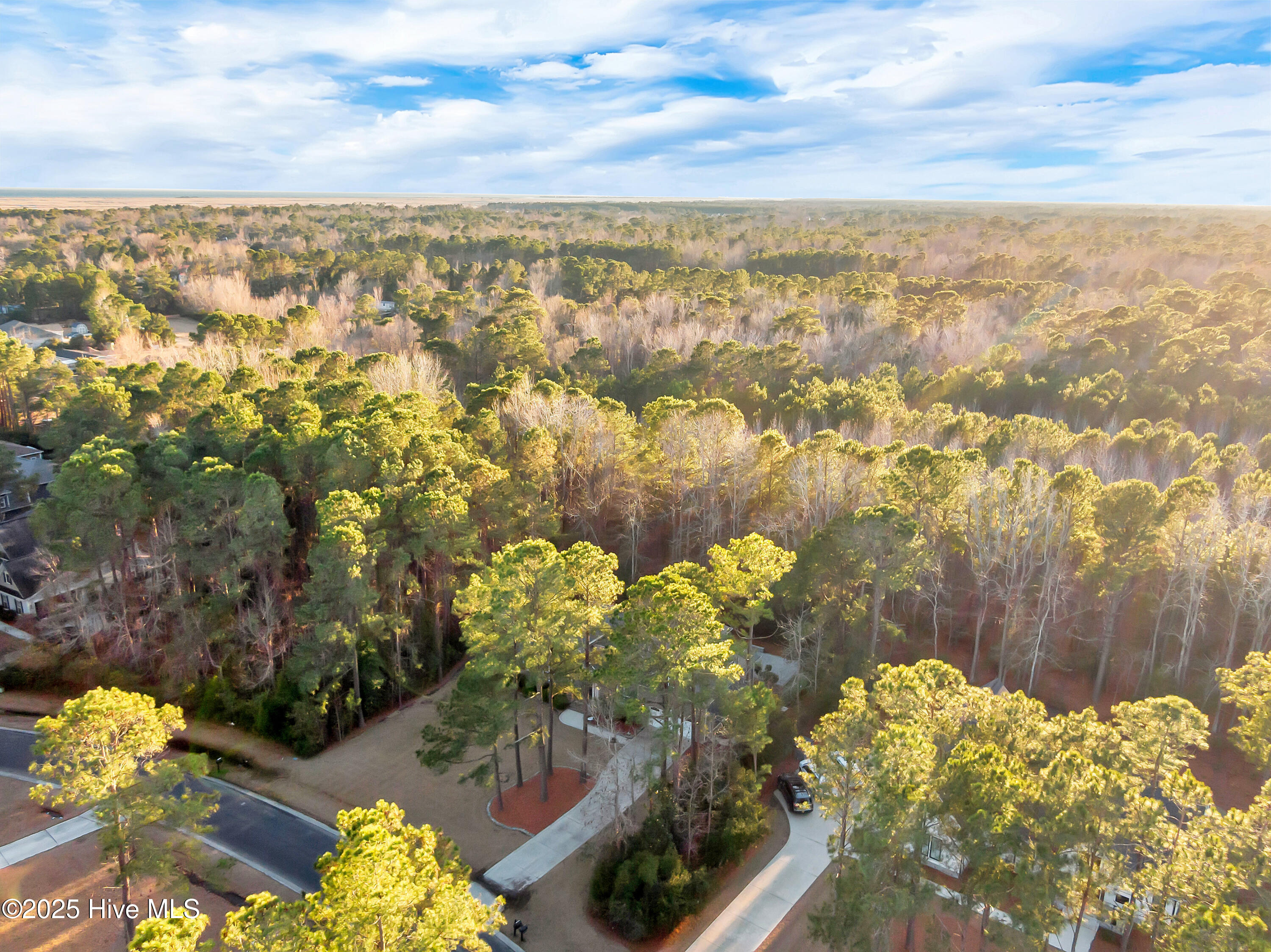 236 Hydrangea Lane Hampstead, NC 28443 - Photo 53 of 73 047_dji_0006_538