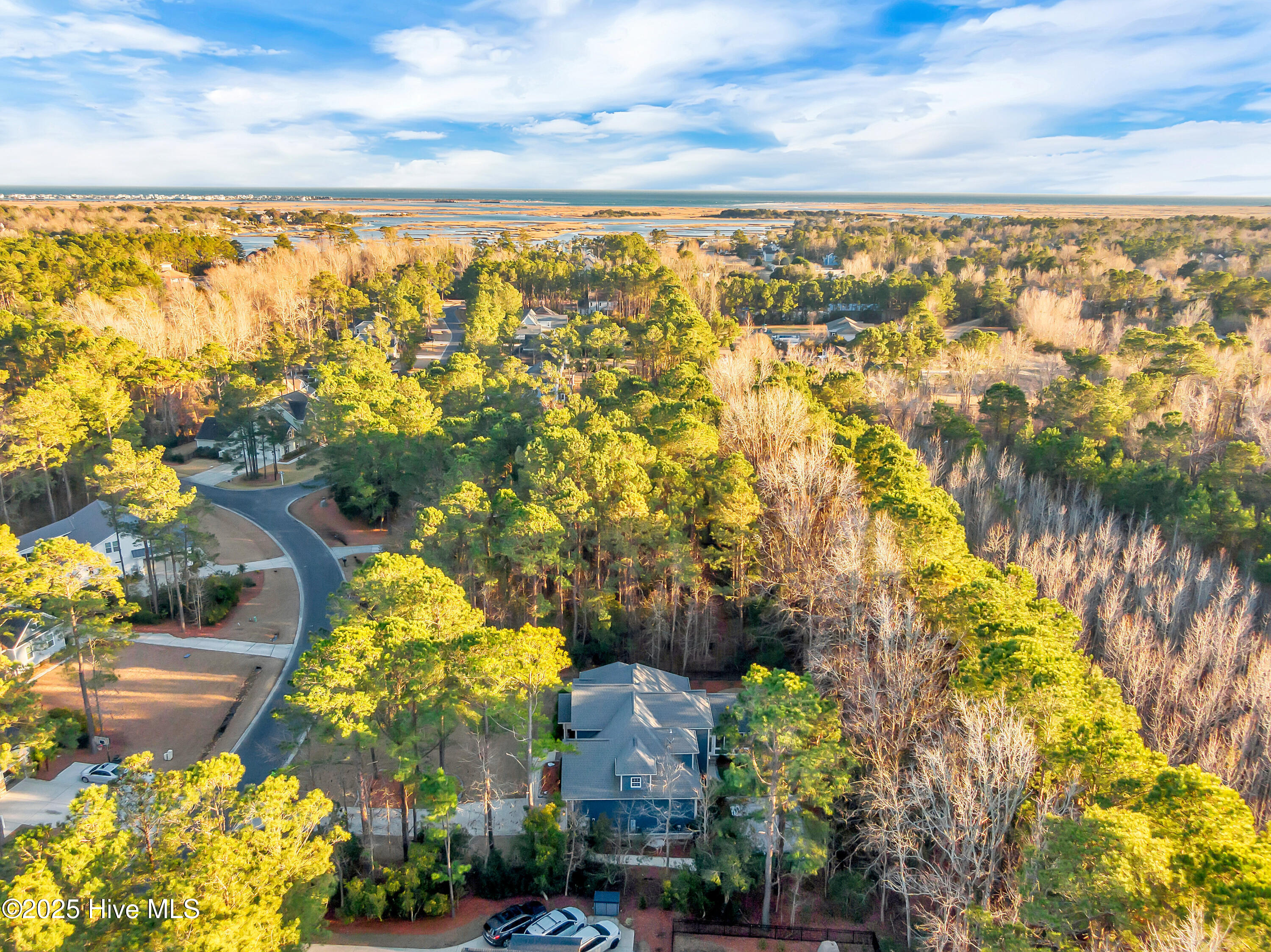 236 Hydrangea Lane Hampstead, NC 28443 - Photo 54 of 73 048_dji_0011_173