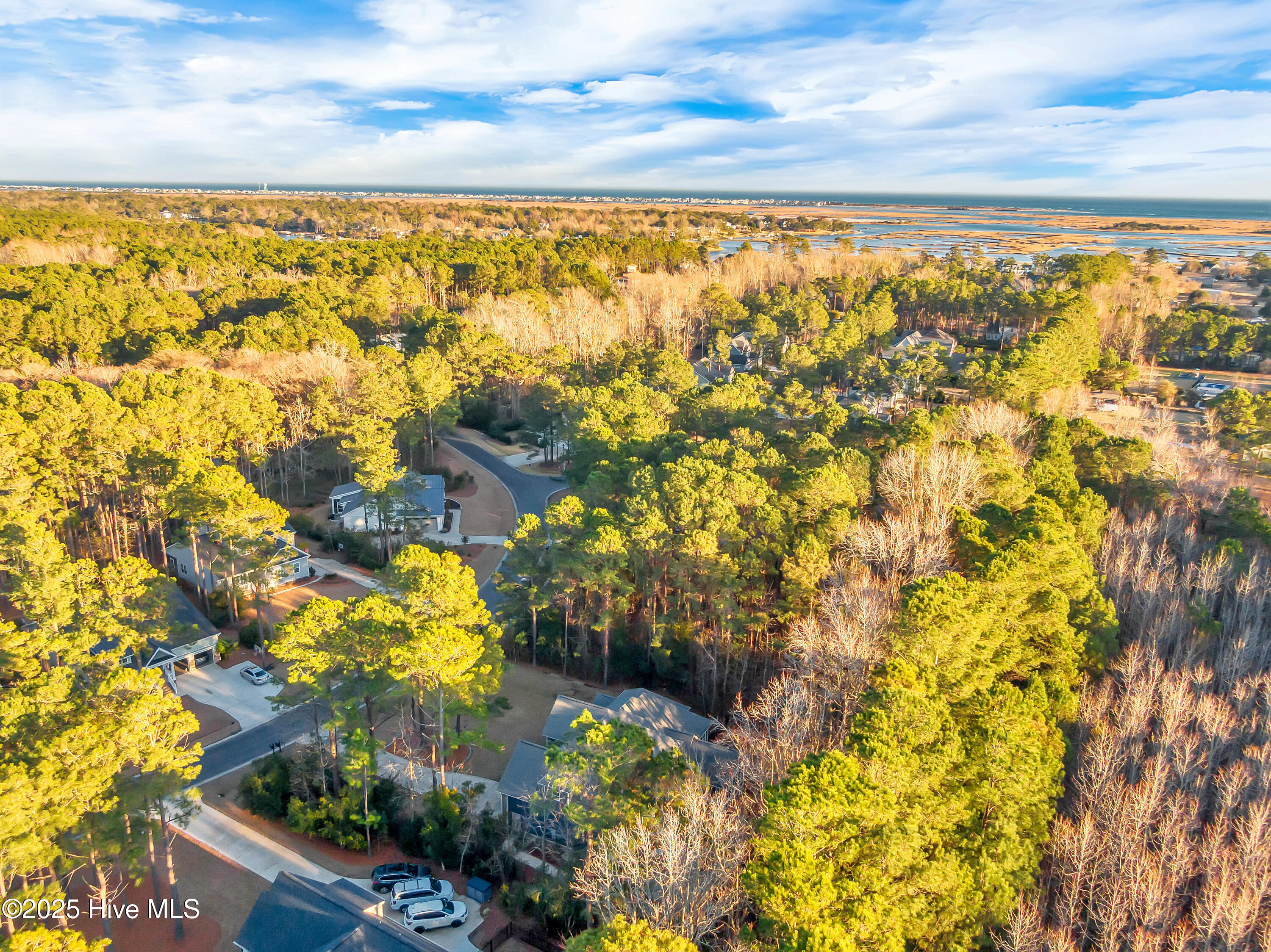 236 Hydrangea Lane Hampstead, NC 28443 - Photo 55 of 73 049_dji_0016_595