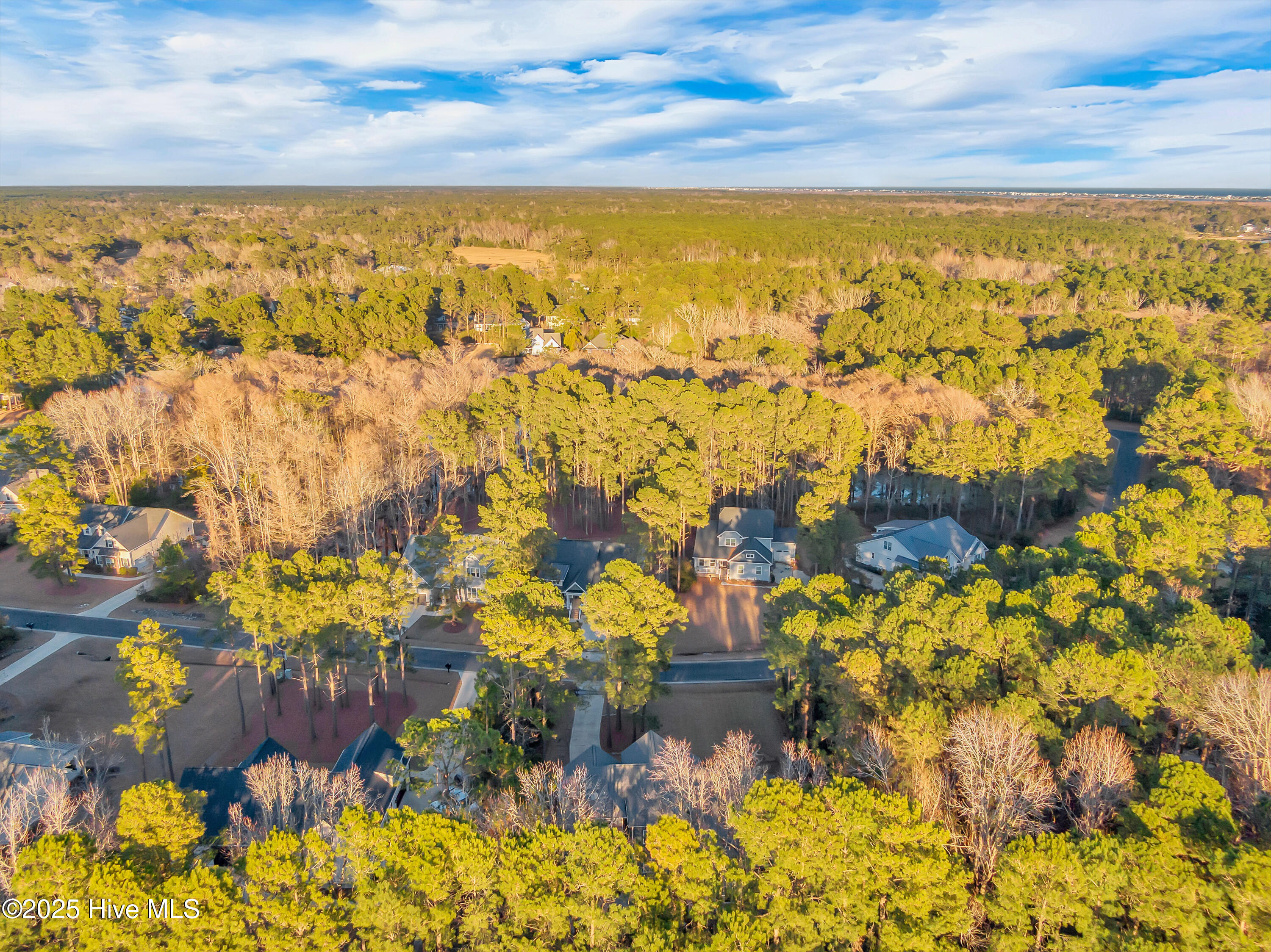 236 Hydrangea Lane Hampstead, NC 28443 - Photo 56 of 73 050_dji_0021_138