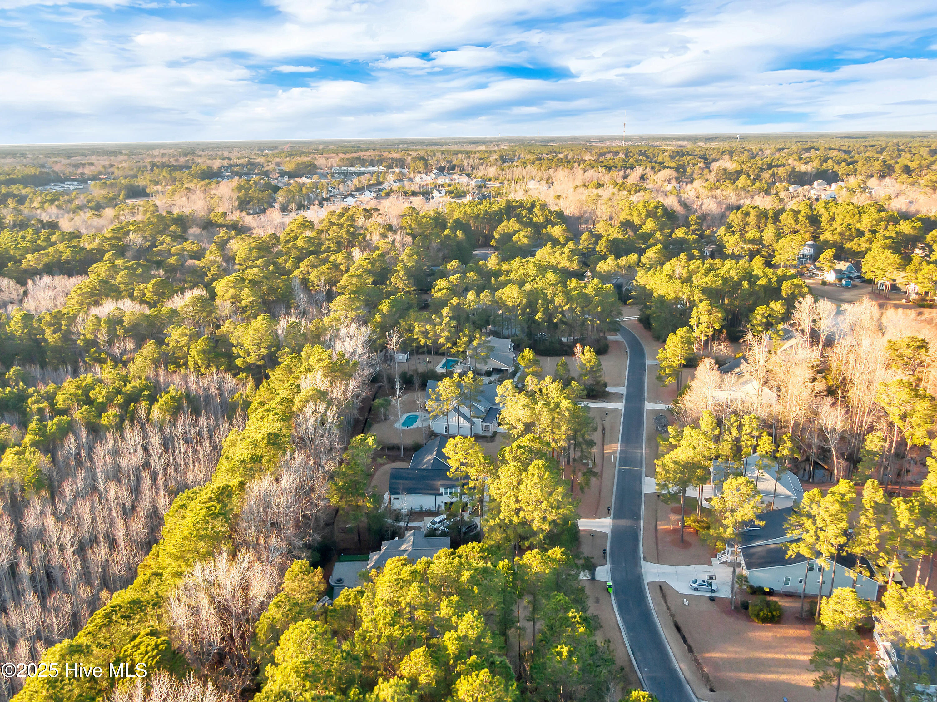 236 Hydrangea Lane Hampstead, NC 28443 - Photo 57 of 73 051_dji_0031_282
