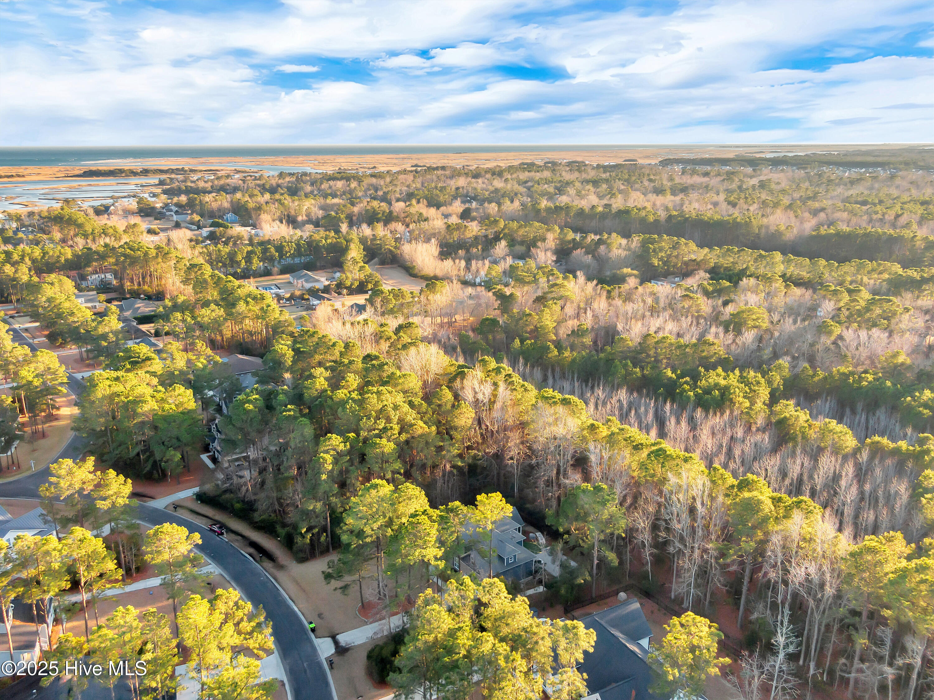 236 Hydrangea Lane Hampstead, NC 28443 - Photo 58 of 73 052_dji_0046_484