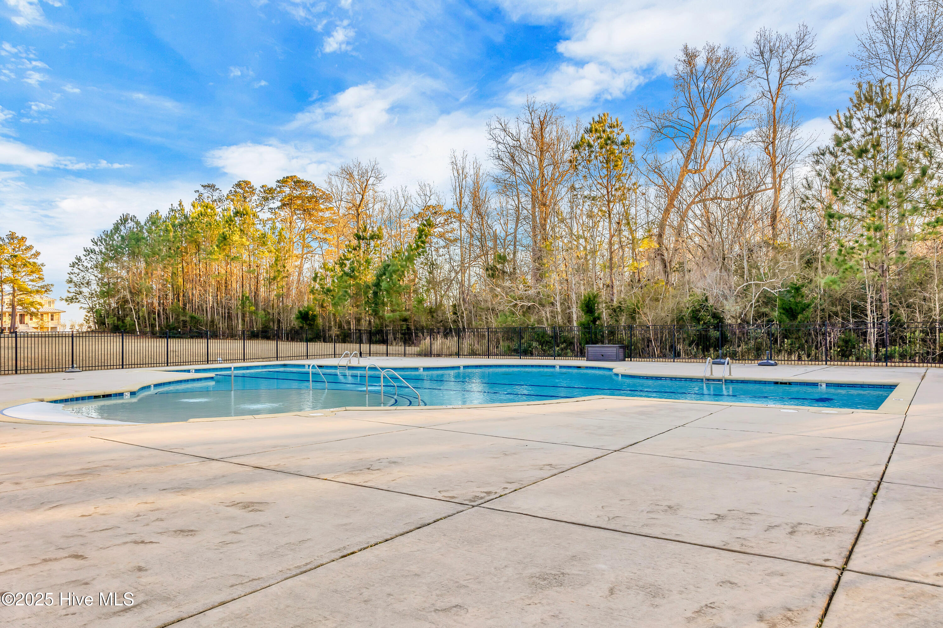 236 Hydrangea Lane Hampstead, NC 28443 - Photo 65 of 73 059_r6_0752_595