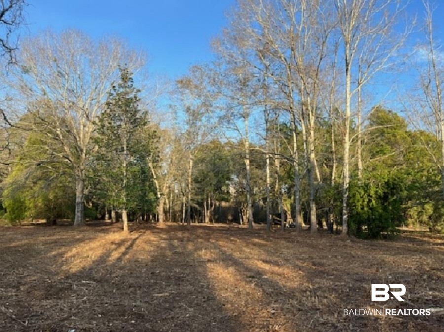 14121 Bunny Hop Foley, AL 36535 - Photo 4 of 7