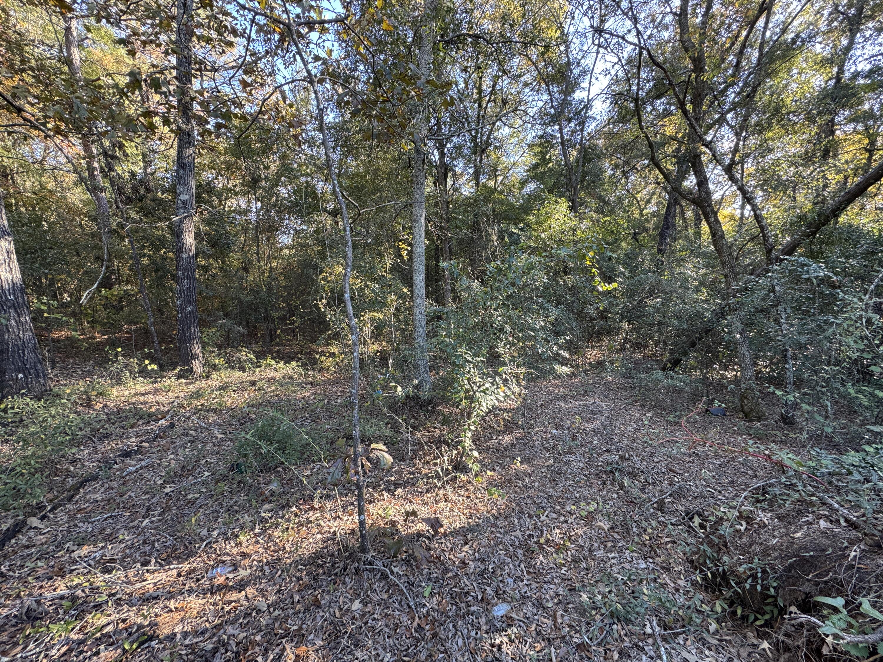 Lot #1 Charles Street Jackson, SC 29831 - Photo 10 of 12