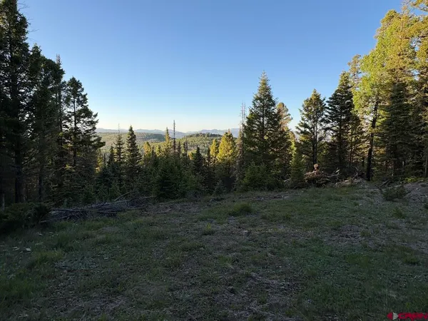 a view of a field with trees in the background