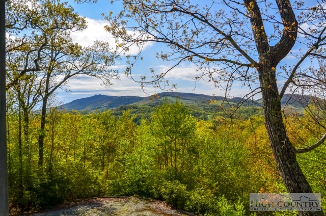 990 Chestnut Mountain Road Banner Elk, NC 28604 - Photo 16 of 37 Gallery Image 16
