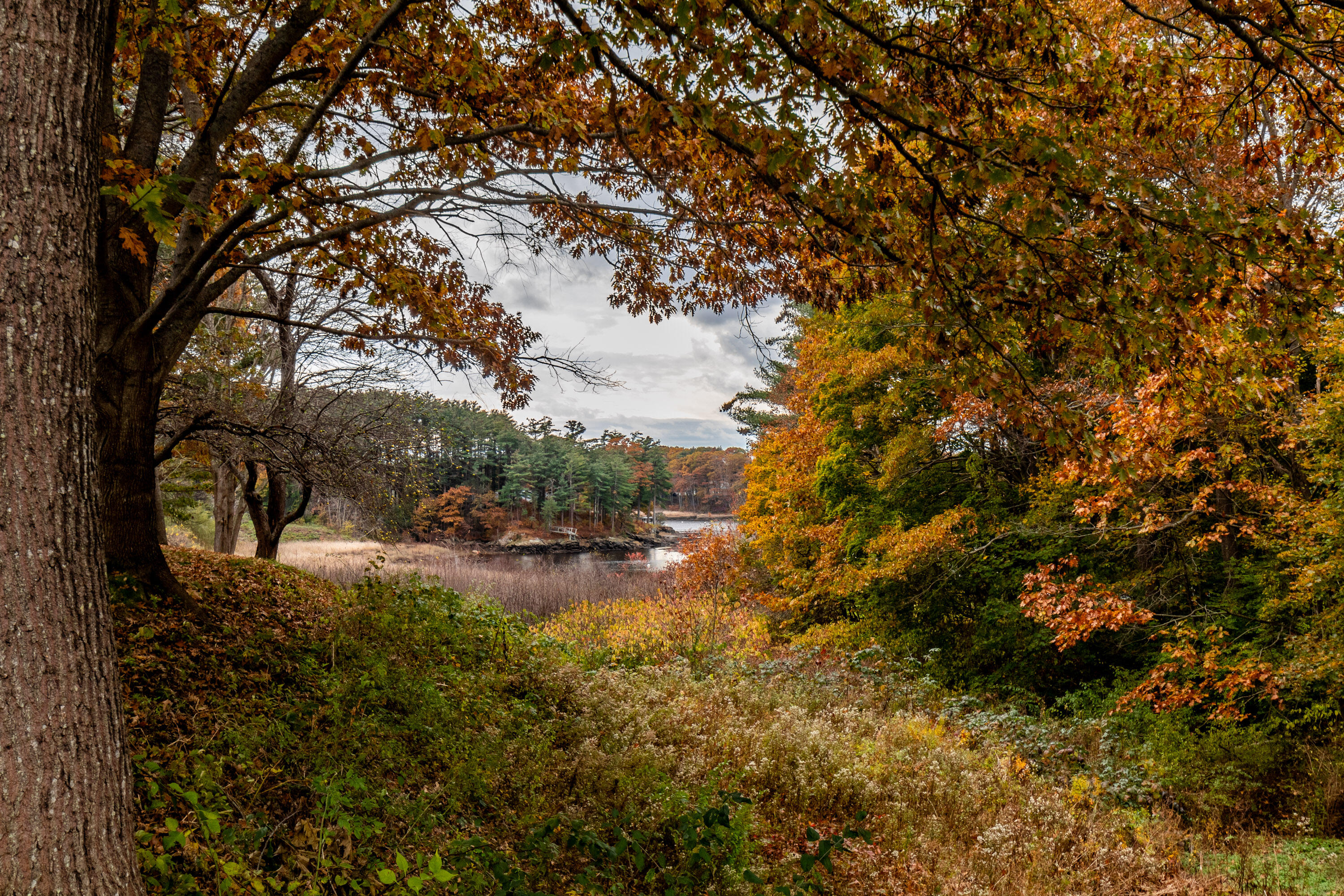 295 Ferry Road Saco, ME 04072 - Photo 49 of 61 river view 1