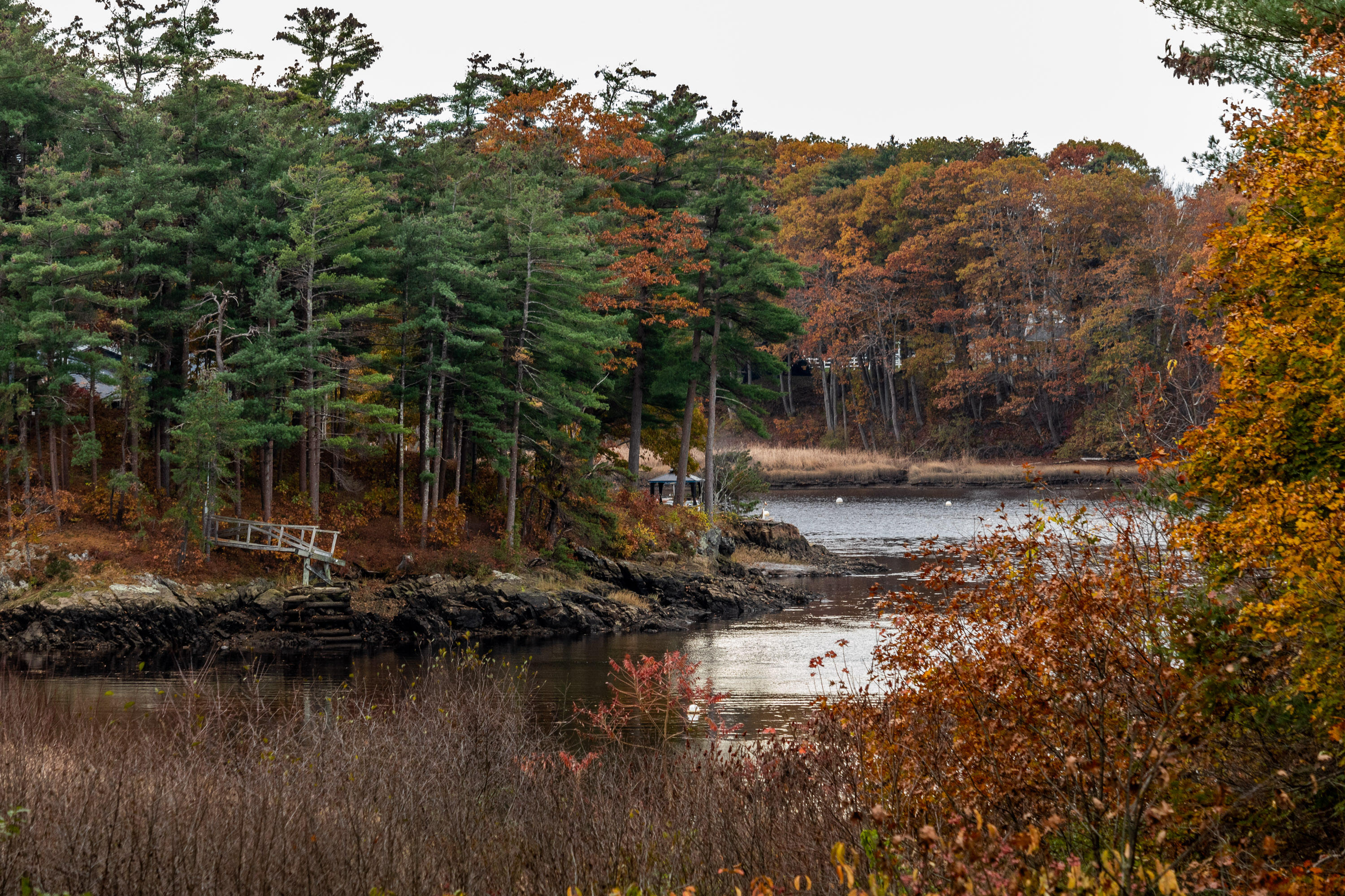 295 Ferry Road Saco, ME 04072 - Photo 50 of 61 river view 2