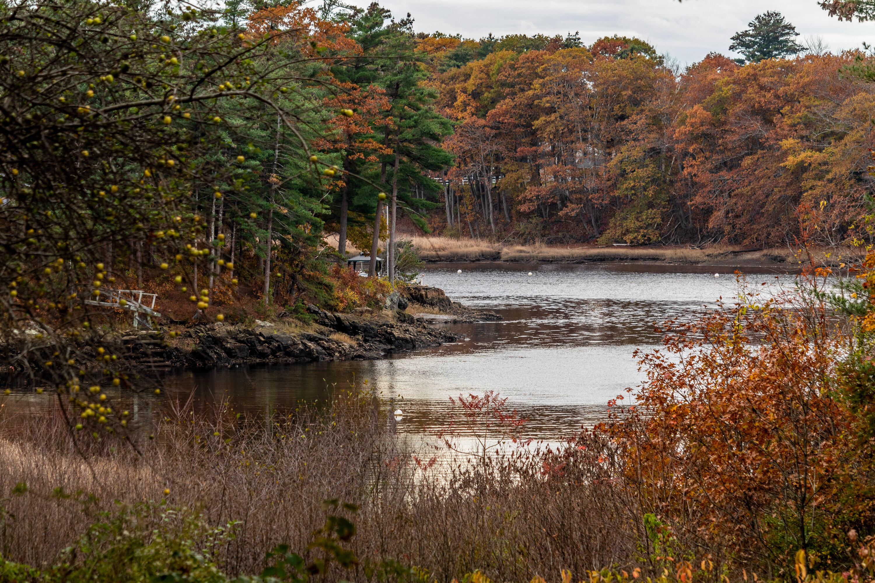 295 Ferry Road Saco, ME 04072 - Photo 8 of 61 river view 3