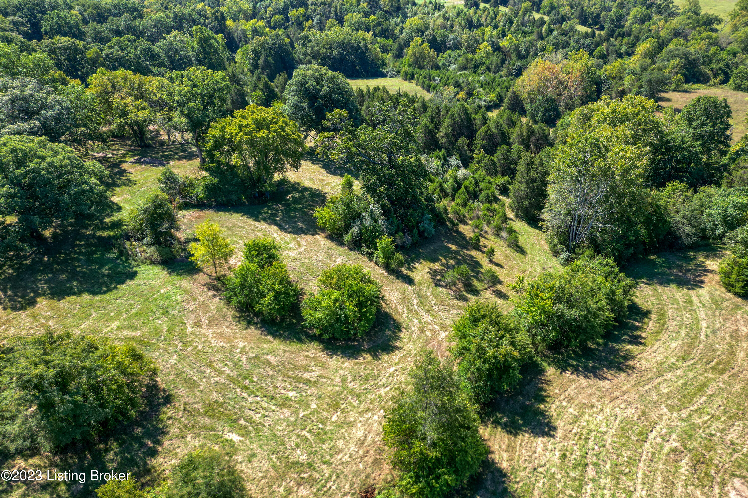 6460 Old Zaring Road Buckner, KY 40010 - Photo 6 of 11 011 - 20230913 0593