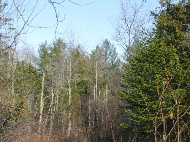 0 Carthage Road Carthage, ME 04224 - Photo 13 of 31 Photo