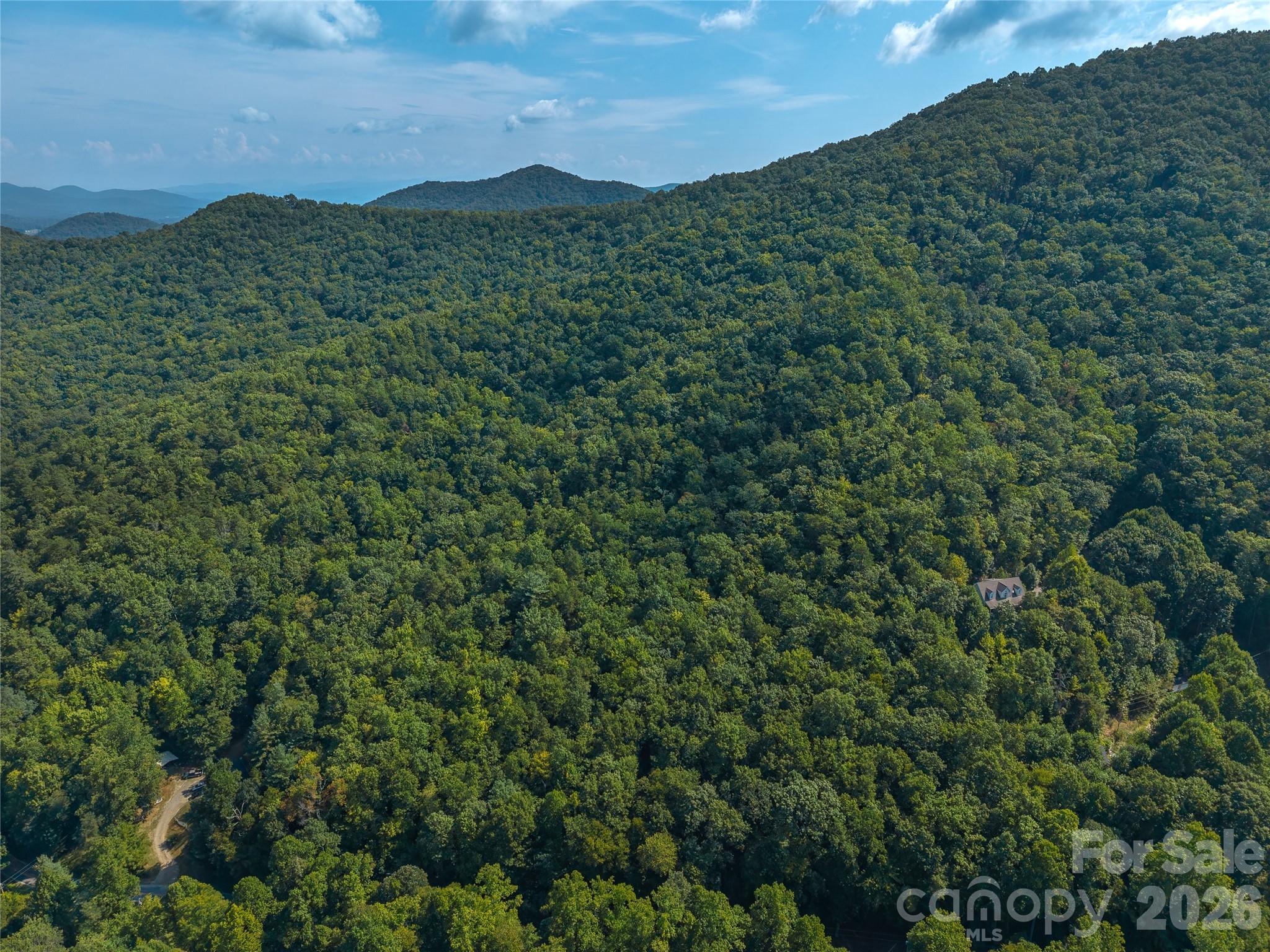 99999 Saw Branch Road Candler, NC 28715 - Photo 30 of 37 Gallery Image 30