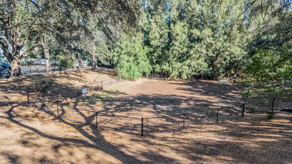 611 St Henry Drive Brandon, FL 33511 - Photo 30 of 34 a view of dirt yard with a trees