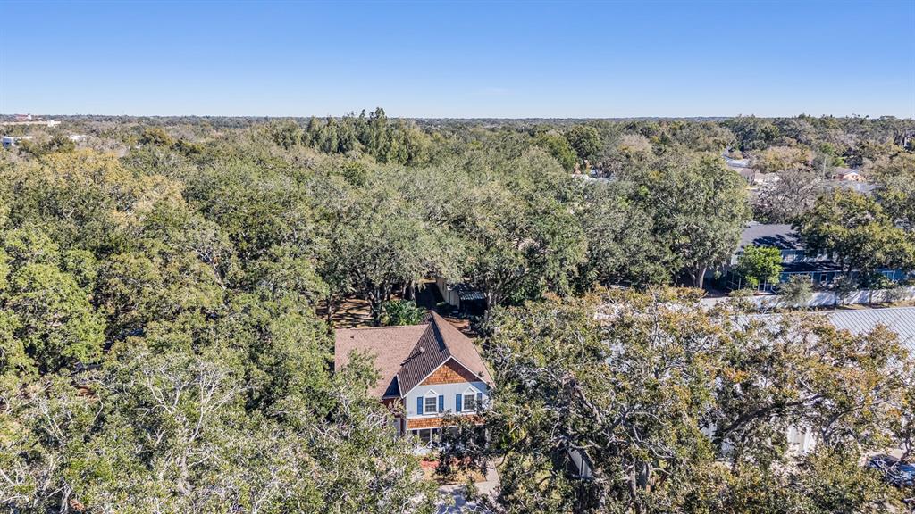 611 St Henry Drive Brandon, FL 33511 - Photo 34 of 34 a view of a forest with a house in background
