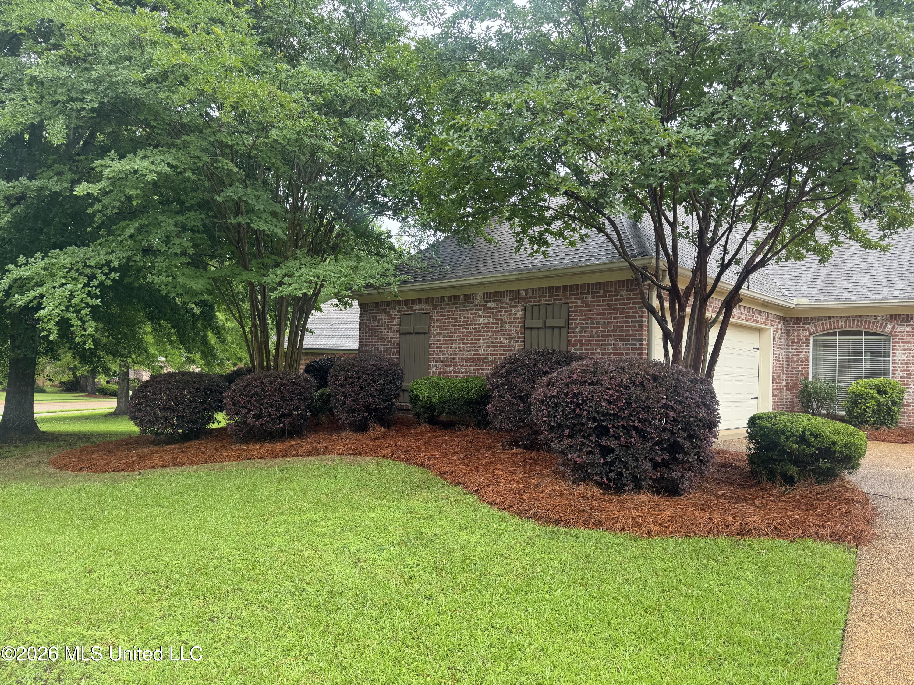 128 Seville Way Madison, MS 39110 - Photo 2 of 24 IMG_8772