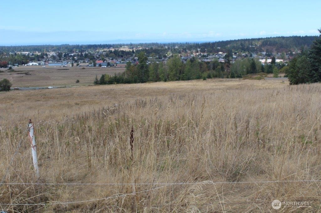 0 Miller Road Sequim, WA 98382 - Photo 4 of 12 Gallery Image 4