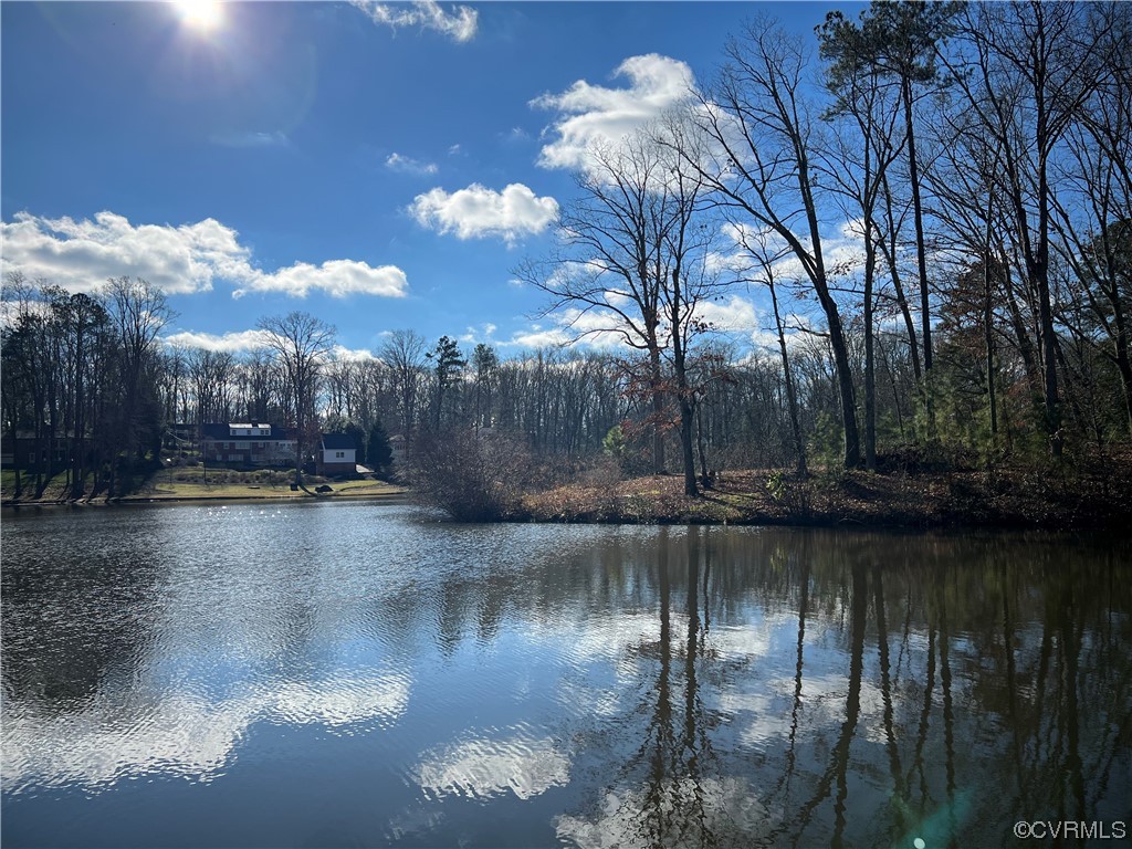 1430 Bloomfield Road Richmond, VA 23225 - Photo 46 of 47 a view of river covered by trees and buildings