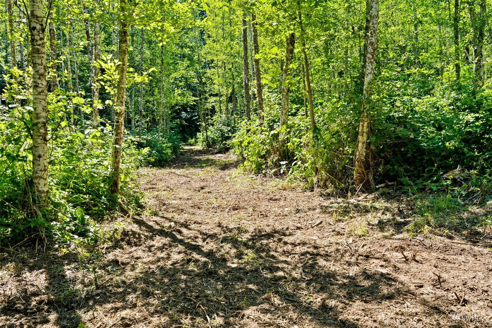0 East Sunset Road Shelton, WA 98584 - Photo 6 of 12 Gallery Image 6