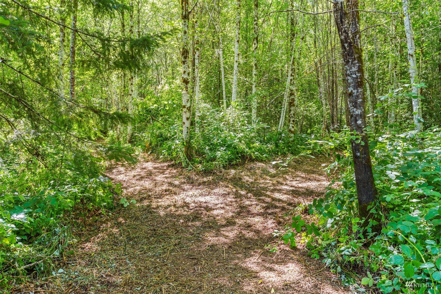0 East Sunset Road Shelton, WA 98584 - Photo 8 of 12 Gallery Image 8