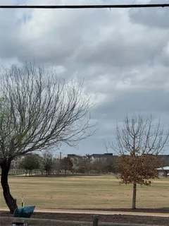 a view of a yard in front of a house