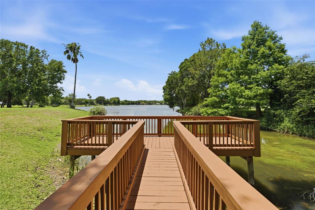 9409 Tree Tops Lake Road Tampa, FL 33626 - Photo 91 of 97