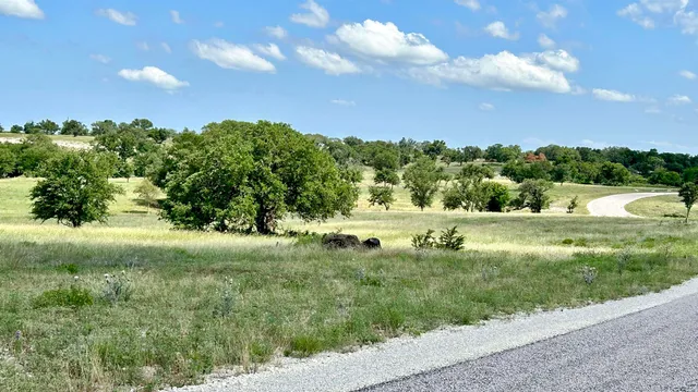 a view of yard with green space