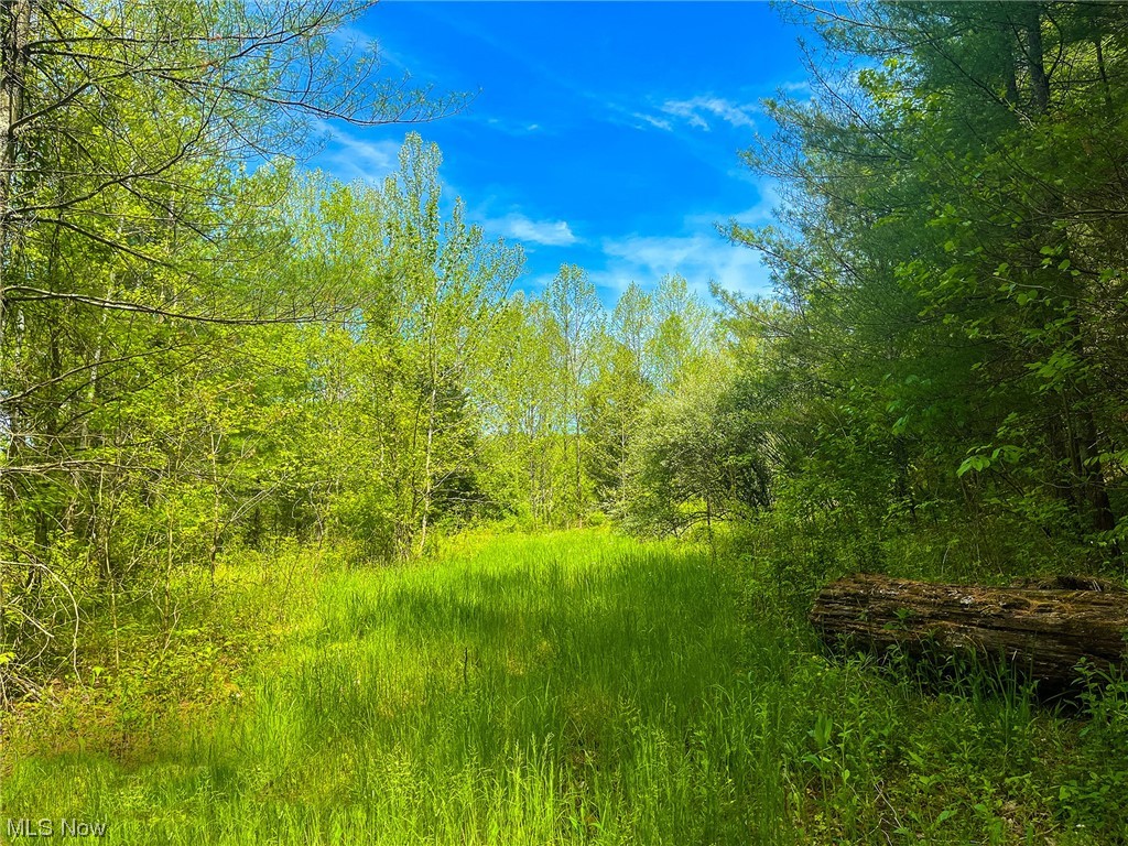 404 East Branch Road Lowell, OH 45744 - Photo 13 of 21 Gallery Image 13