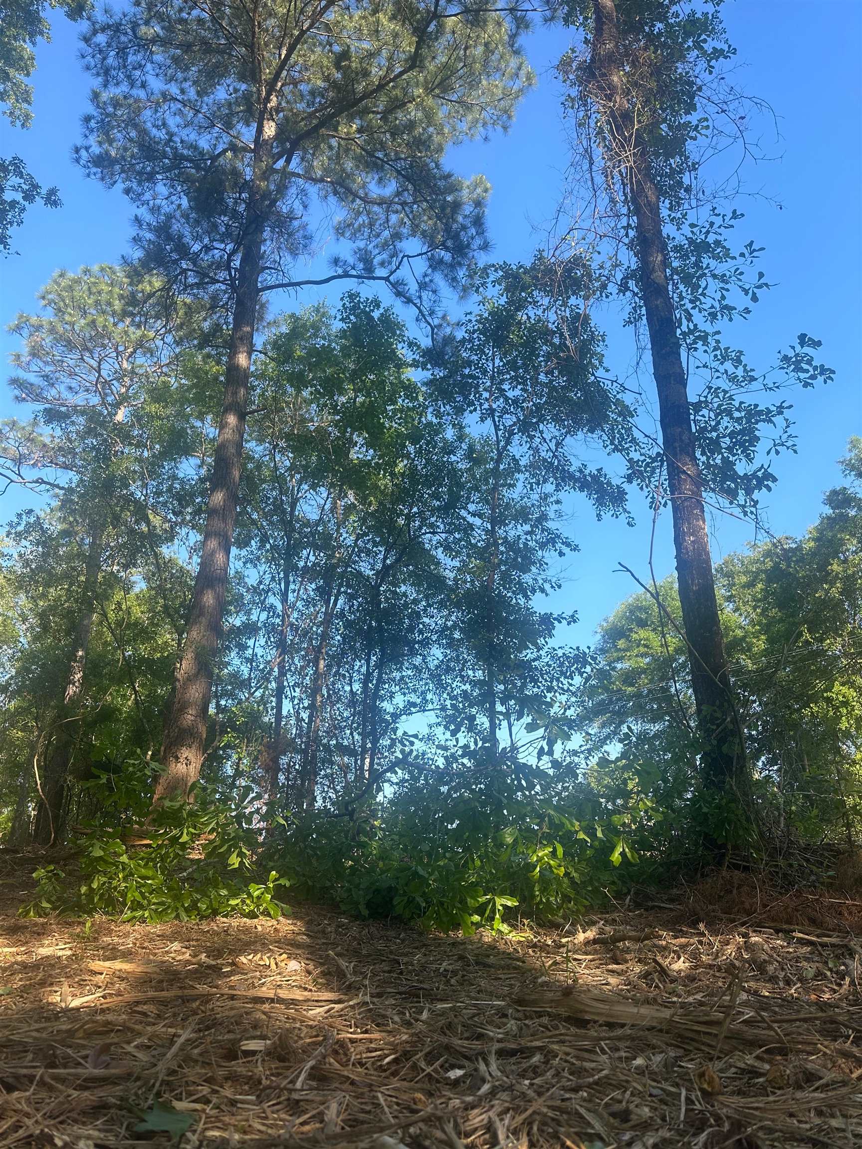 0 D Z Grove Road Robertsdale, AL 36567 - Photo 1 of 1