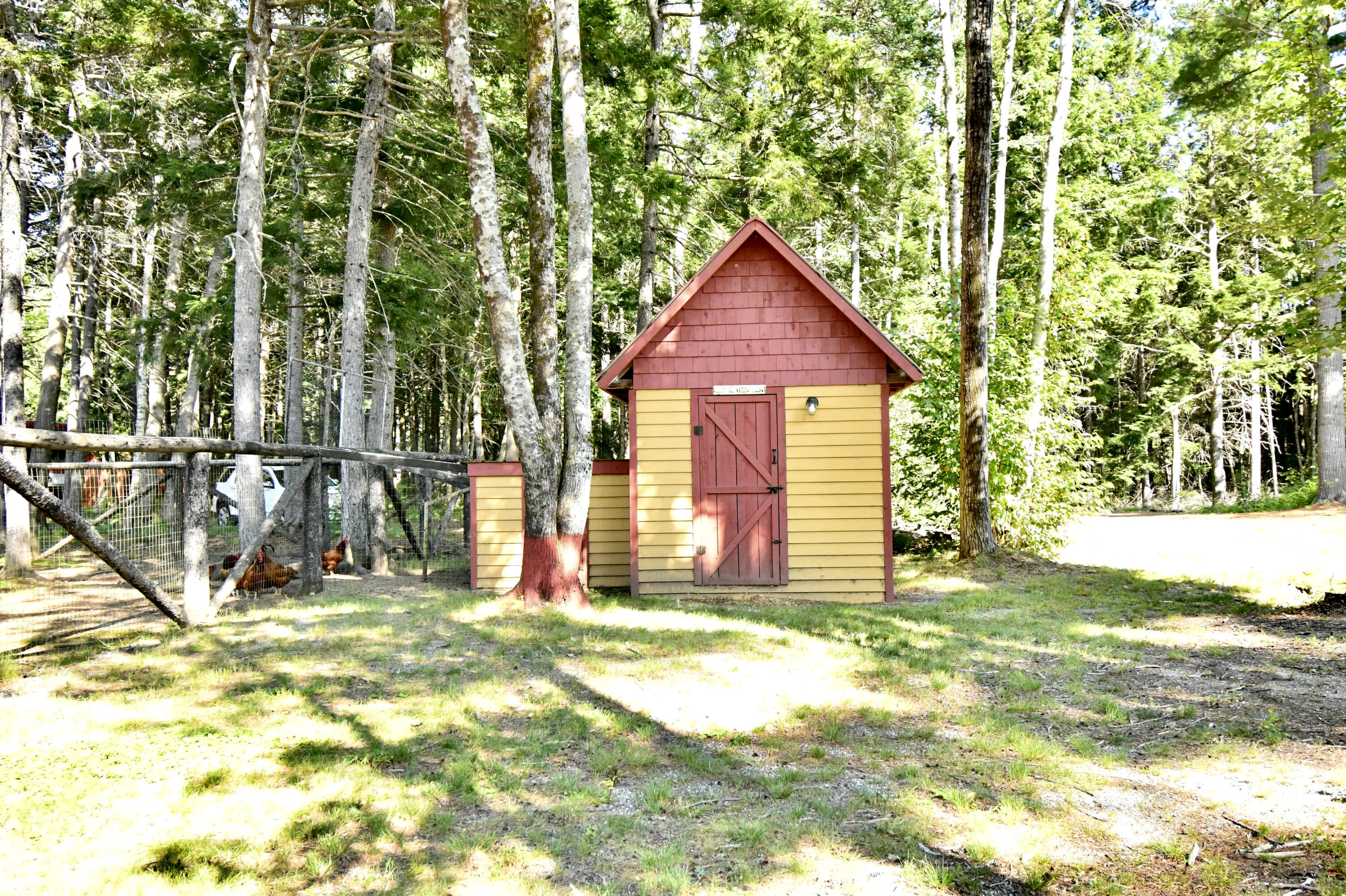 1145 Otis Road Ellsworth, ME 04605 - Photo 44 of 101 A4E87002-4458-4BF1-8BE5-FCA1FE6430DF_1_2