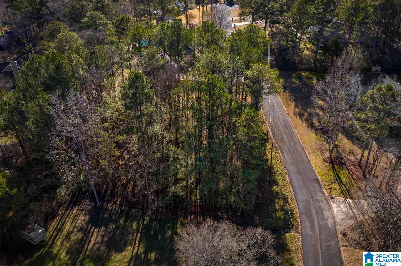 0 Scenic Trail, Unit 1 Oneonta, AL 35121 - Photo 6 of 18